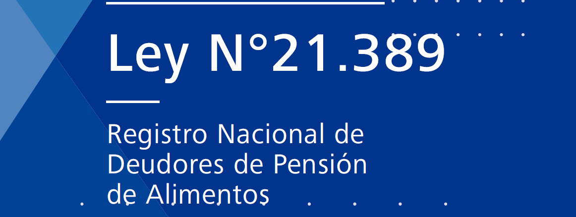 Minuta JurÍdica Registro Nacional De Deudores De Pensiones De Alimentos Portal Del Colegio De